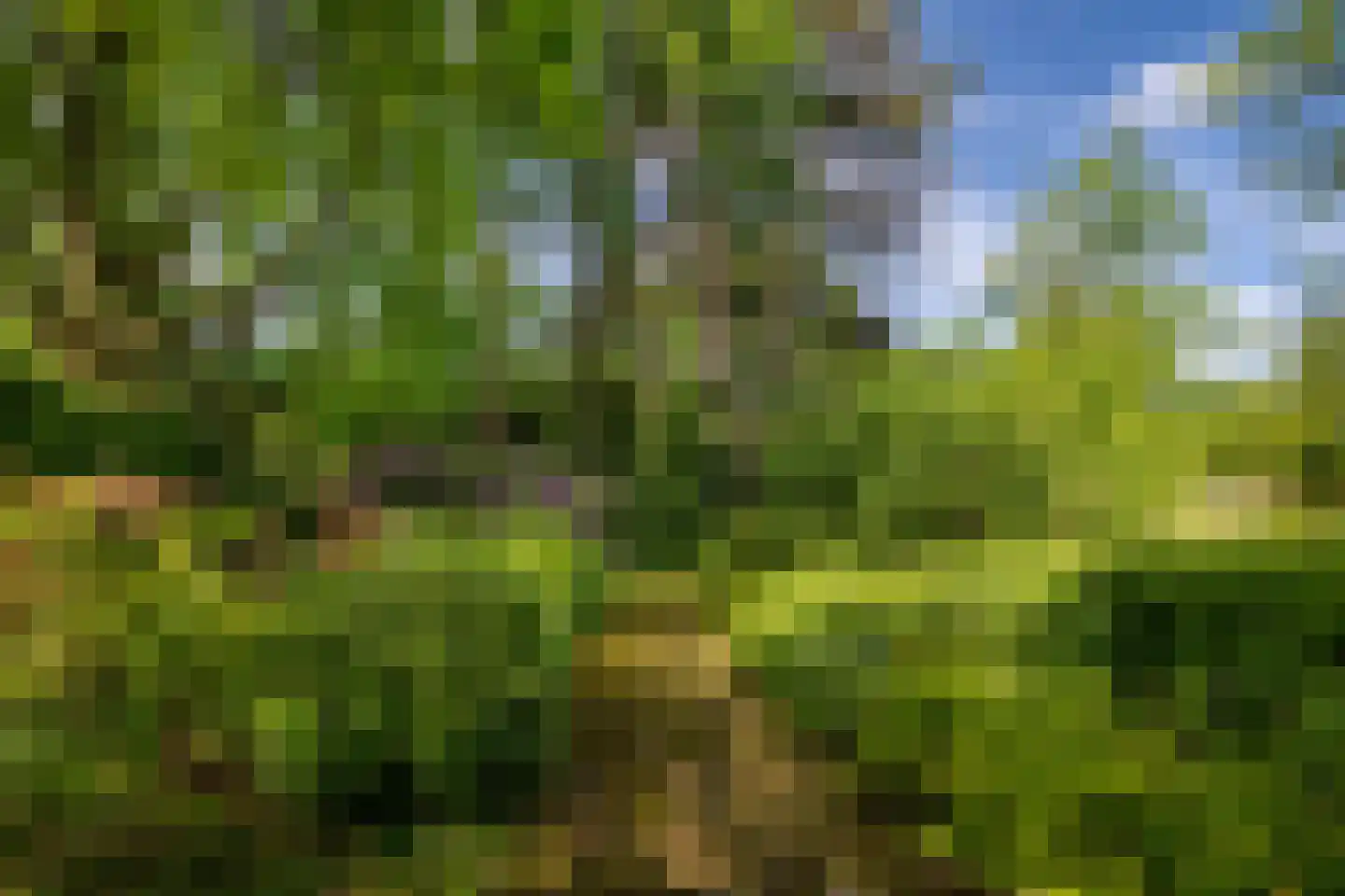 Kakertsweg 7 Landgraaf thumbnail 34