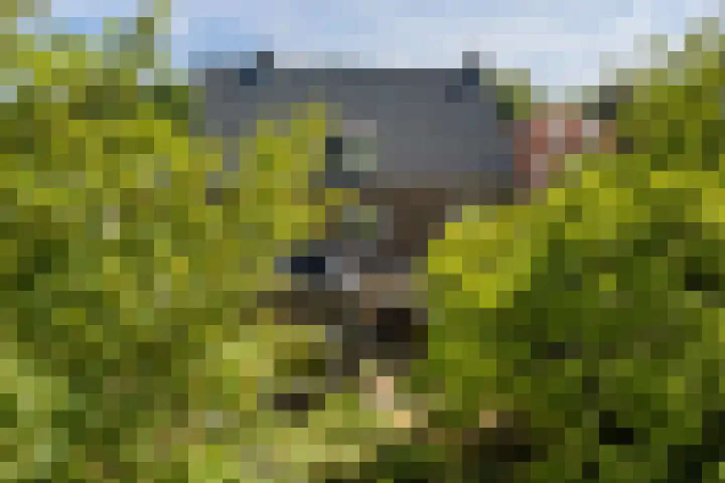 Kakertsweg 7 Landgraaf thumbnail 35