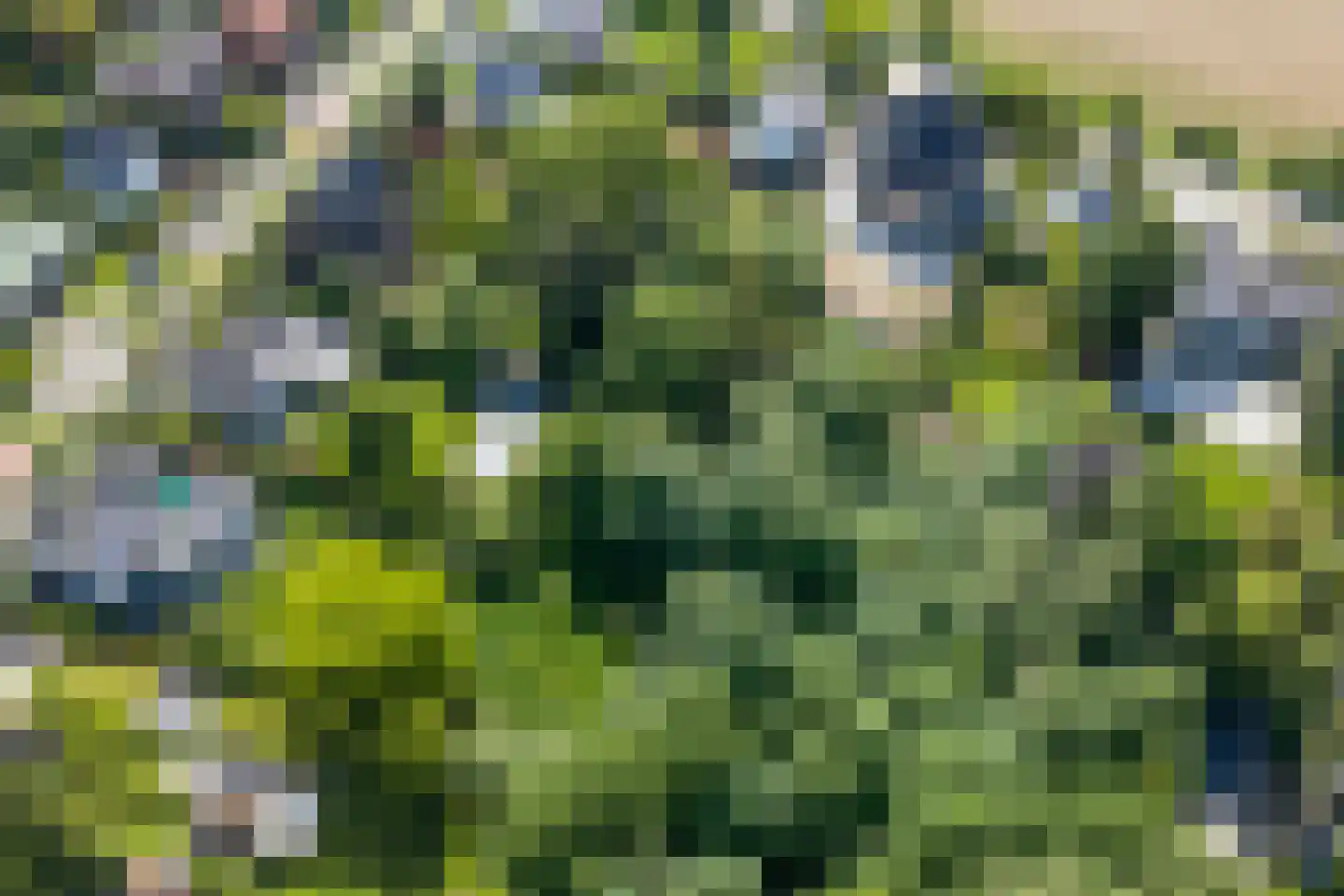 Kakertsweg 7 Landgraaf thumbnail 37