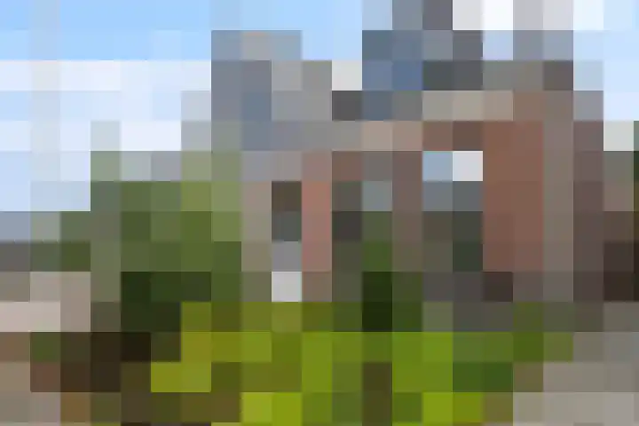 Kakewei 26 Stiens thumbnail 13