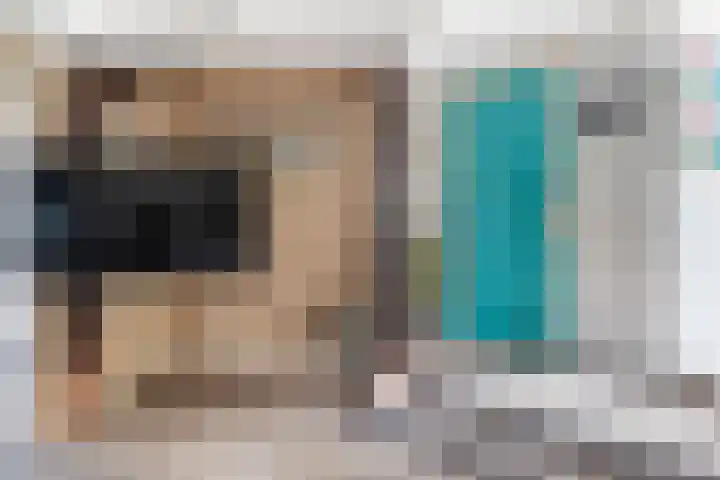 Kakewei 26 Stiens thumbnail 20