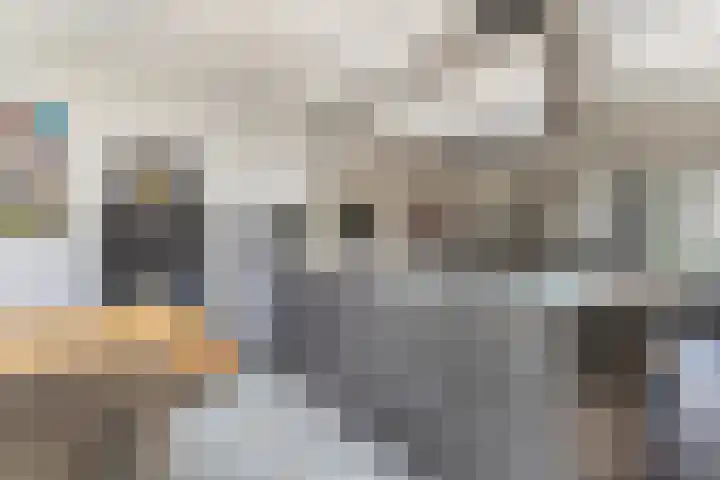 Kakewei 26 Stiens thumbnail 21