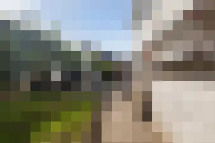Kakewei 26 Stiens thumbnail 27