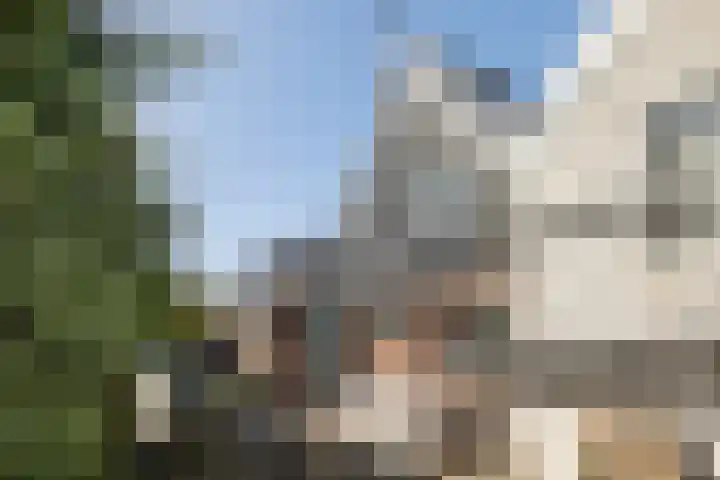 Kakewei 26 Stiens thumbnail 28