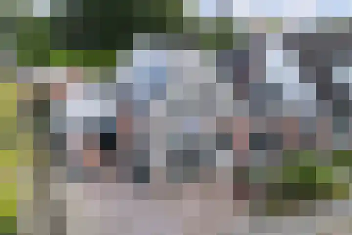 Kakewei 26 Stiens thumbnail 4