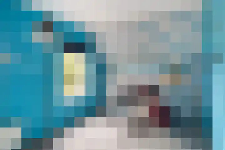Kakewei 26 Stiens thumbnail 41