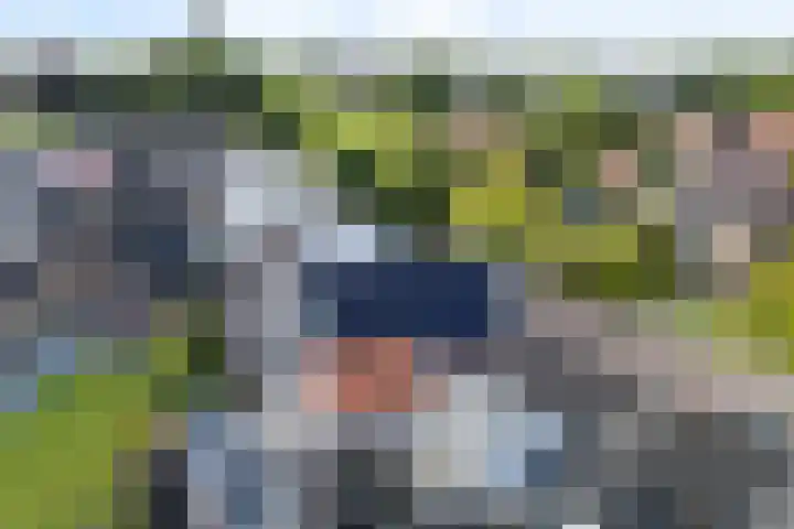 Kakewei 26 Stiens thumbnail 5