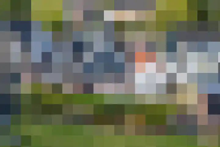 Kakewei 26 Stiens thumbnail 6