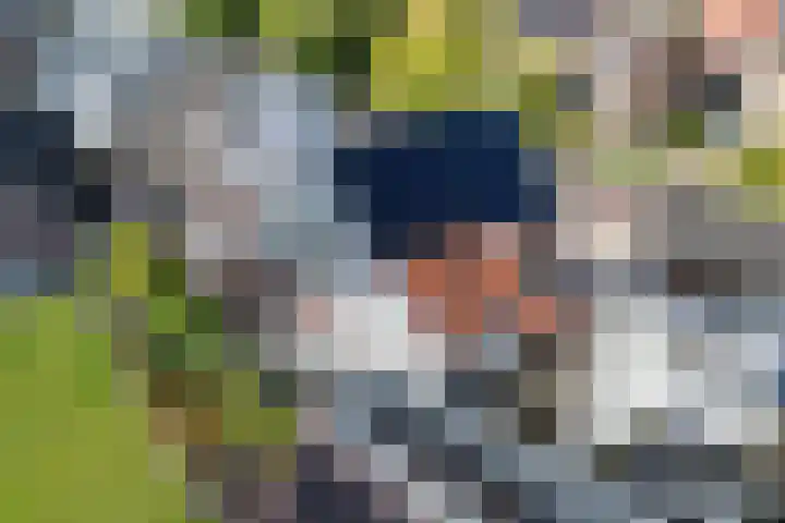Kakewei 26 Stiens thumbnail 7