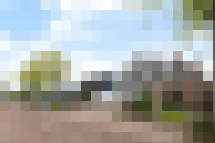 Kakewei 26 Stiens thumbnail 8