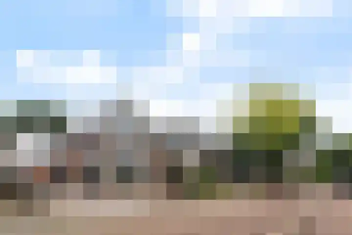 Kakewei 26 Stiens thumbnail 9