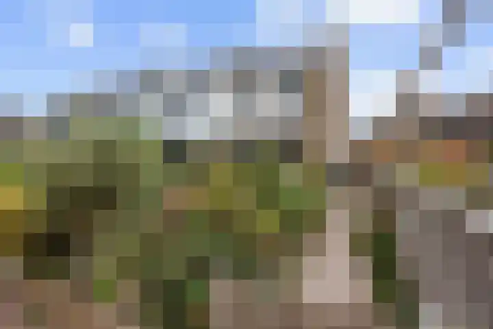 Kakistraat 11 Almere thumbnail 19