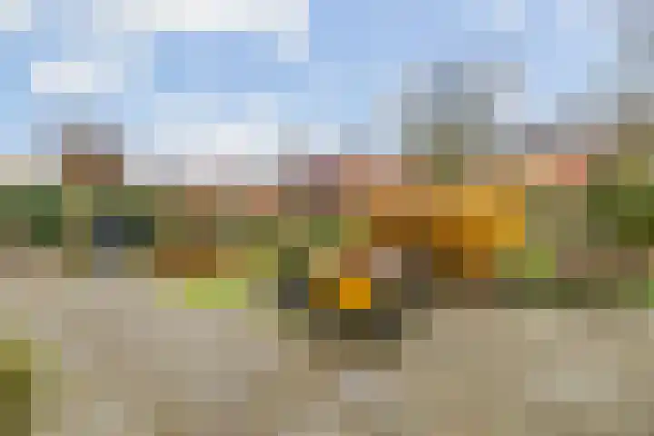 Kakistraat 11 Almere thumbnail 23