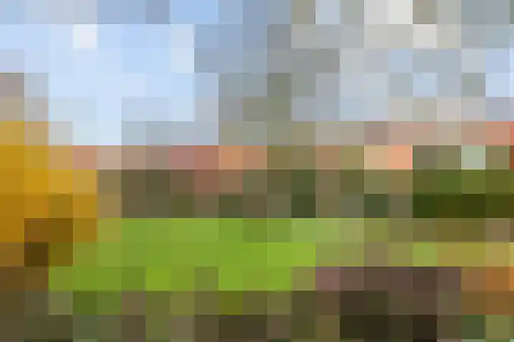 Kakistraat 11 Almere thumbnail 31