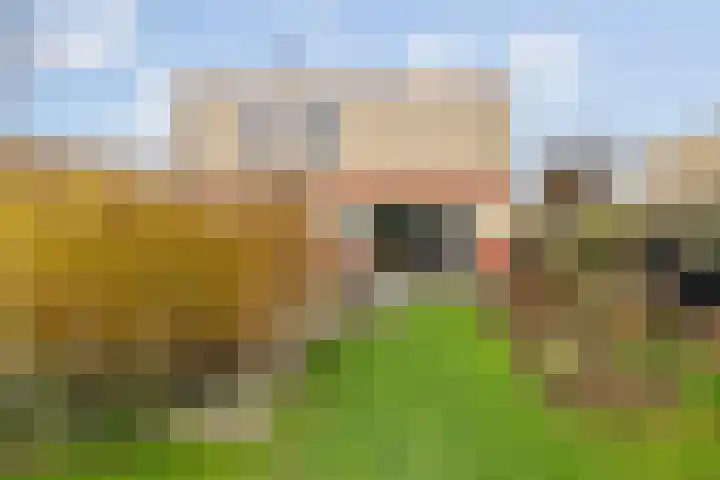 Kakistraat 11 Almere thumbnail 32