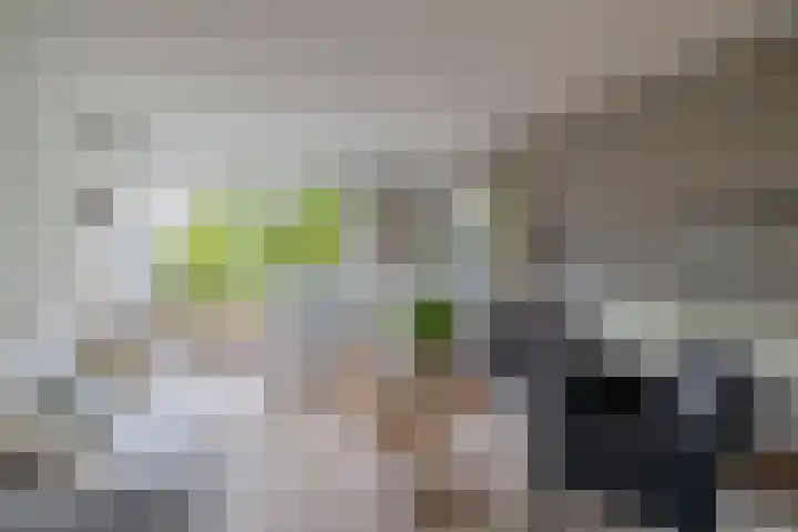 Kalander 38 Wormer thumbnail 10