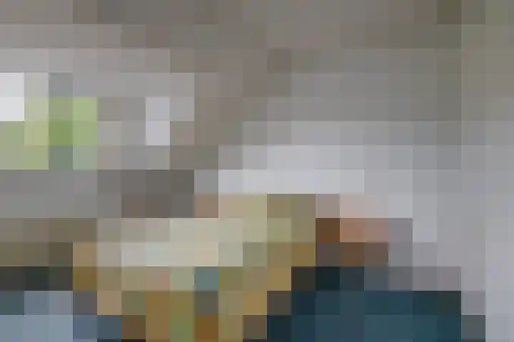 Kalander 38 Wormer thumbnail 20