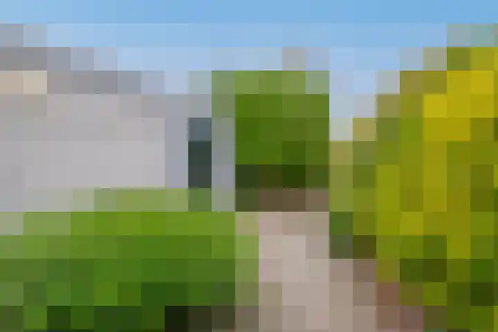 Kalander 38 Wormer thumbnail 27