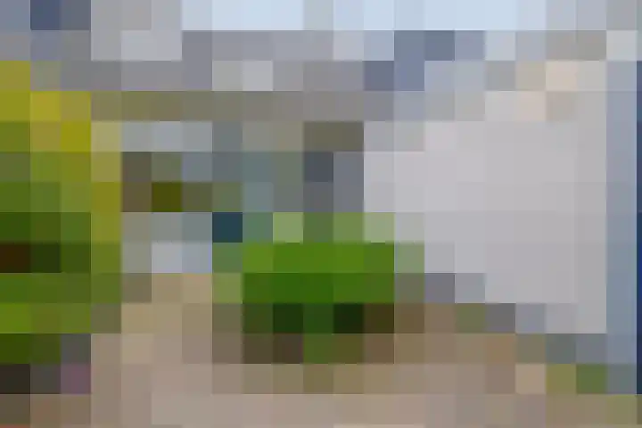 Kalander 38 Wormer thumbnail 28