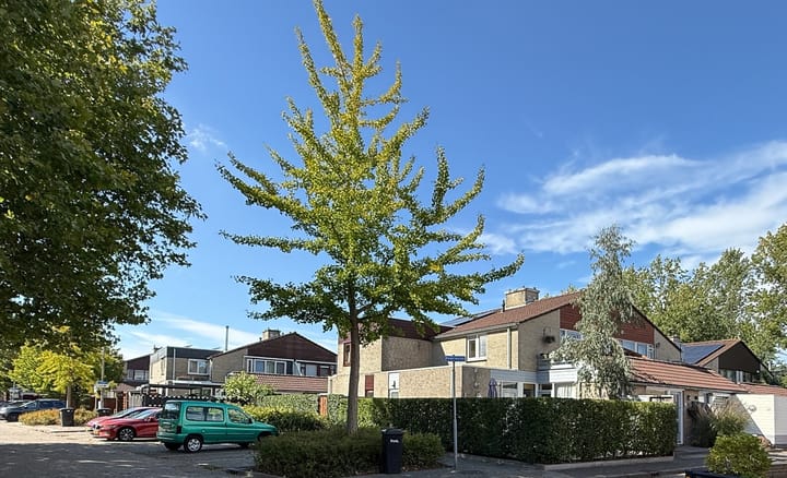 Kalander 44 en Wormer foto