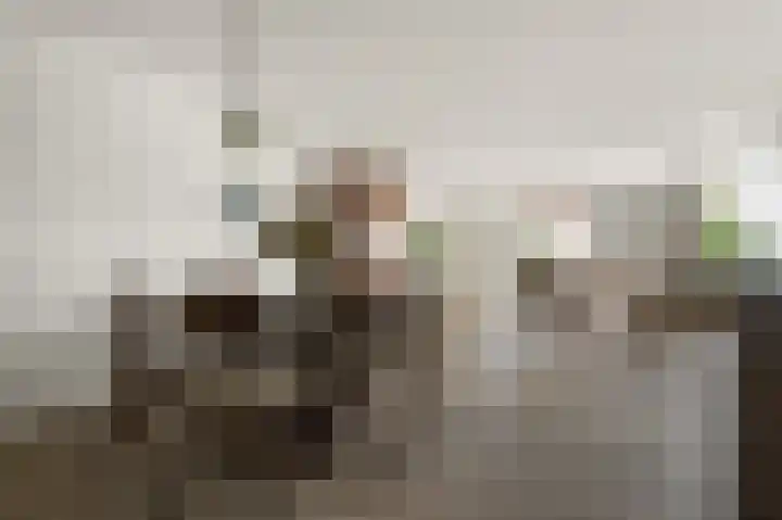 Kalander 44 Wormer thumbnail 11