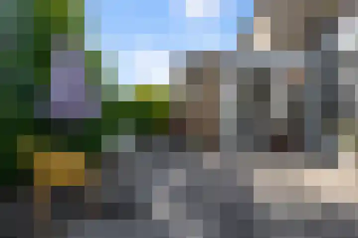 Kalander 44 Wormer thumbnail 13