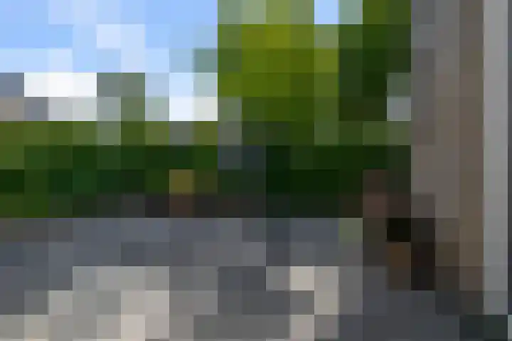 Kalander 44 Wormer thumbnail 14