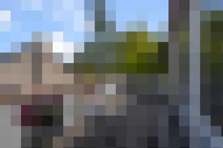 Kalander 44 Wormer thumbnail 26