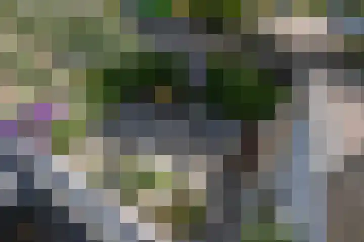 Kalander 44 Wormer thumbnail 27