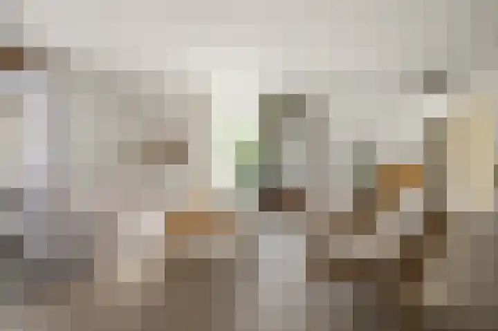 Kalander 44 Wormer thumbnail 5