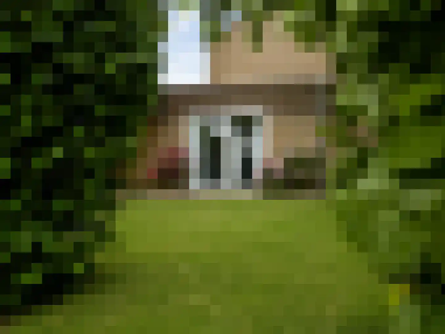 Kalanderdonk 1 Maastricht thumbnail 23