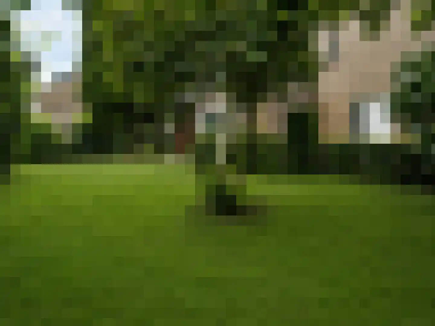 Kalanderdonk 1 Maastricht thumbnail 27