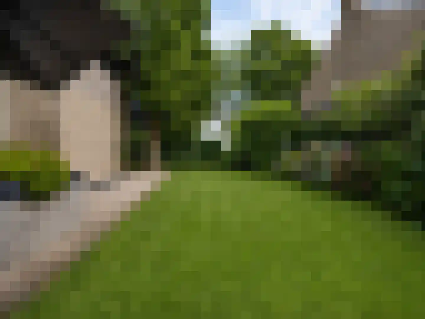 Kalanderdonk 1 Maastricht thumbnail 28