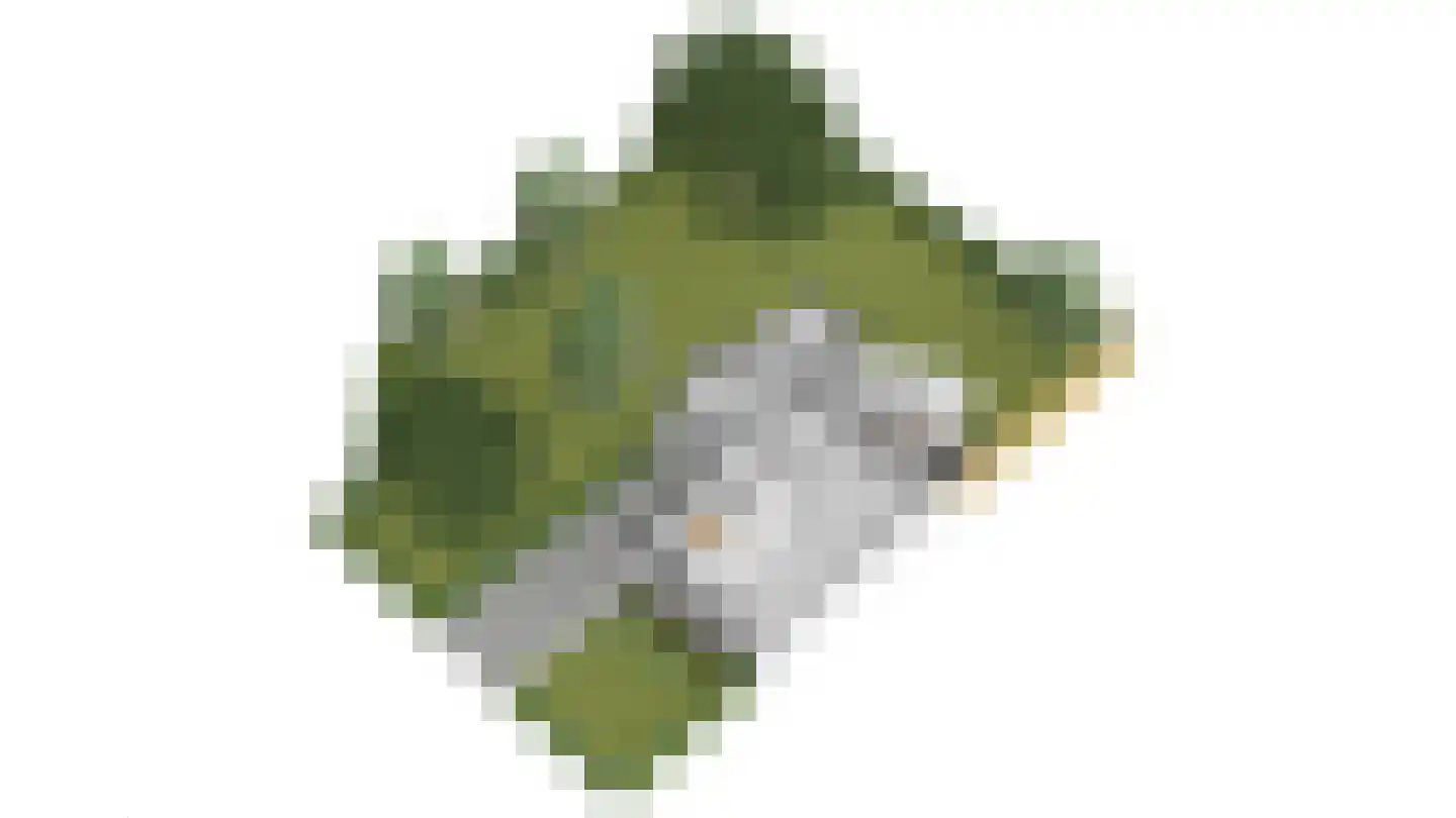 Kalanderdonk 1 Maastricht thumbnail 33