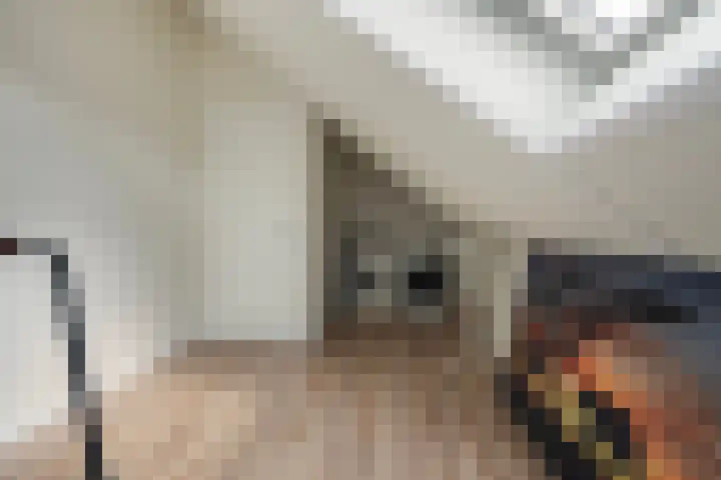 Kalanderij 13 Eibergen thumbnail 28