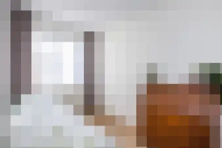 Kalandermolen 6 Zwolle thumbnail 17