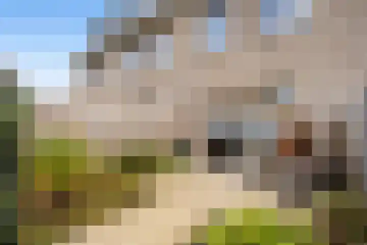 Kalandermolen 6 Zwolle thumbnail 25
