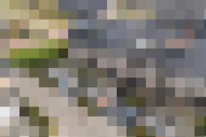 Kalandermolen 6 Zwolle thumbnail 30
