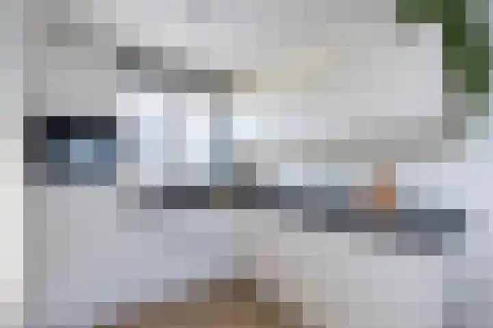 Kalandermolen 6 Zwolle thumbnail 8