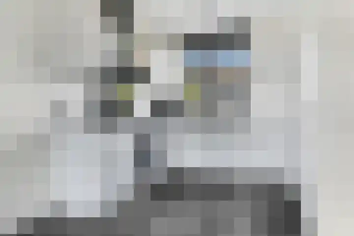 Kalandermolen 8 Zwolle thumbnail 11