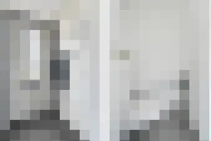 Kalandermolen 8 Zwolle thumbnail 13