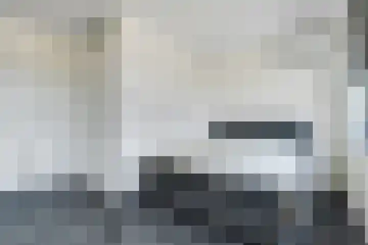 Kalandermolen 8 Zwolle thumbnail 15