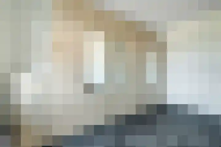Kalandermolen 8 Zwolle thumbnail 16