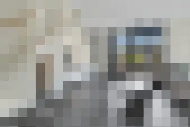 Kalandermolen 8 Zwolle thumbnail 5