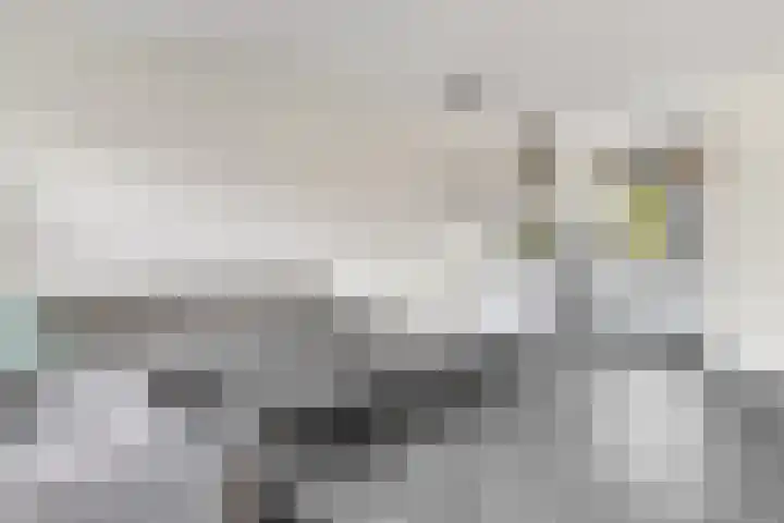 Kalandermolen 8 Zwolle thumbnail 7