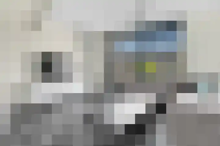 Kalandermolen 8 Zwolle thumbnail 8