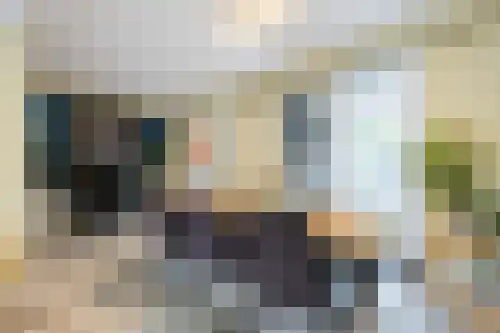 Kalanderstraat 19 Geldrop thumbnail 10