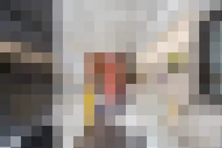 Kalanderstraat 19 Geldrop thumbnail 13