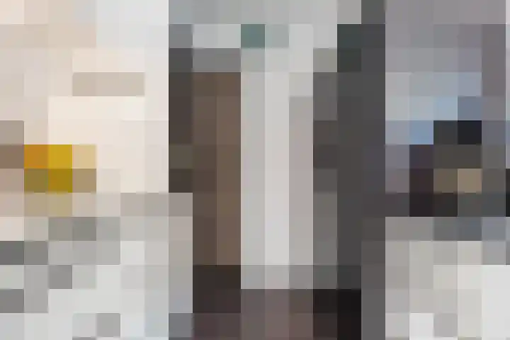 Kalanderstraat 19 Geldrop thumbnail 15