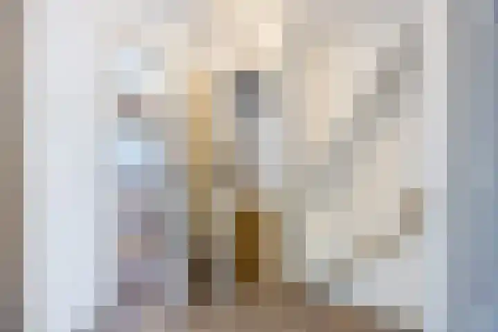 Kalanderstraat 19 Geldrop thumbnail 18